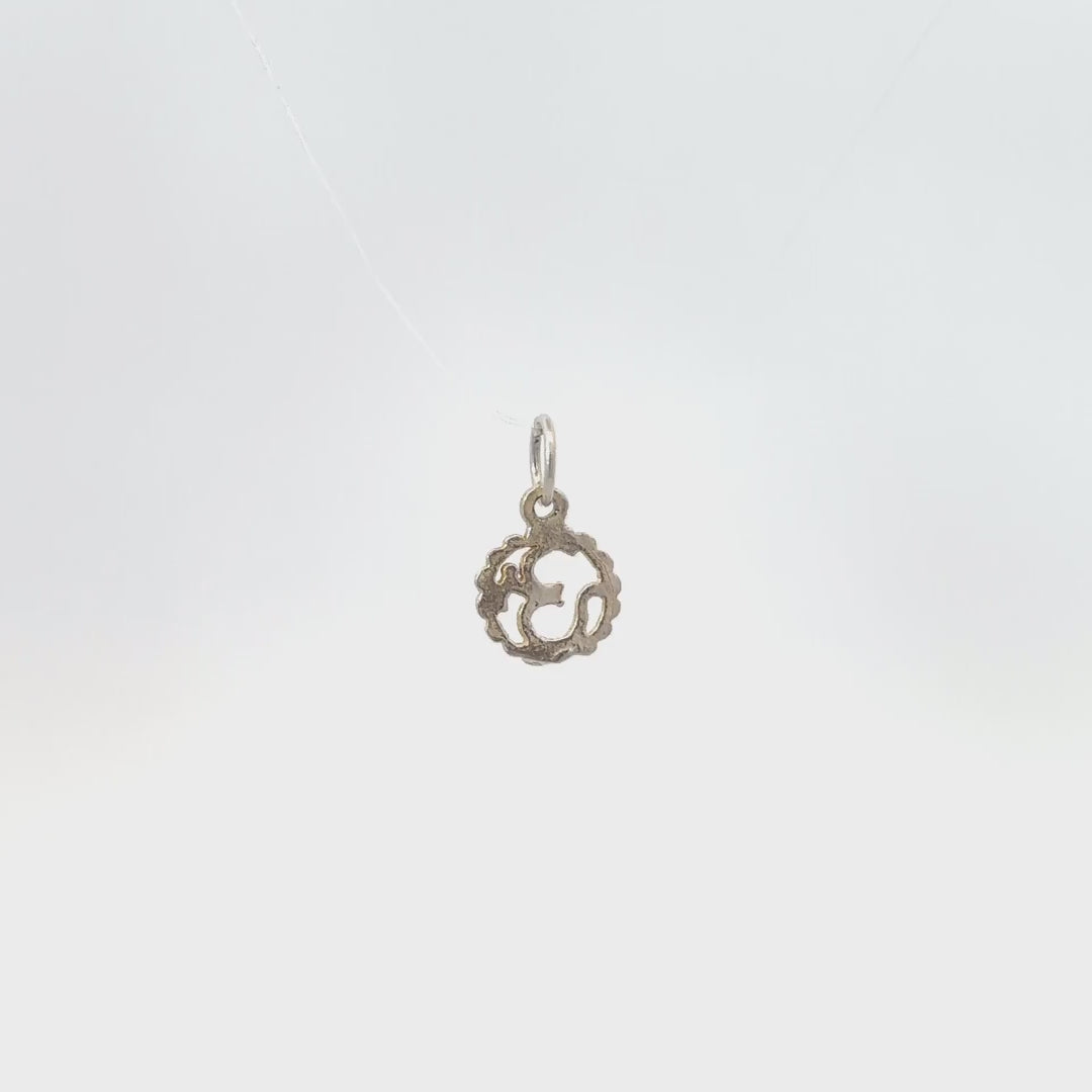 zilveren ohm hanger met kartelrand video